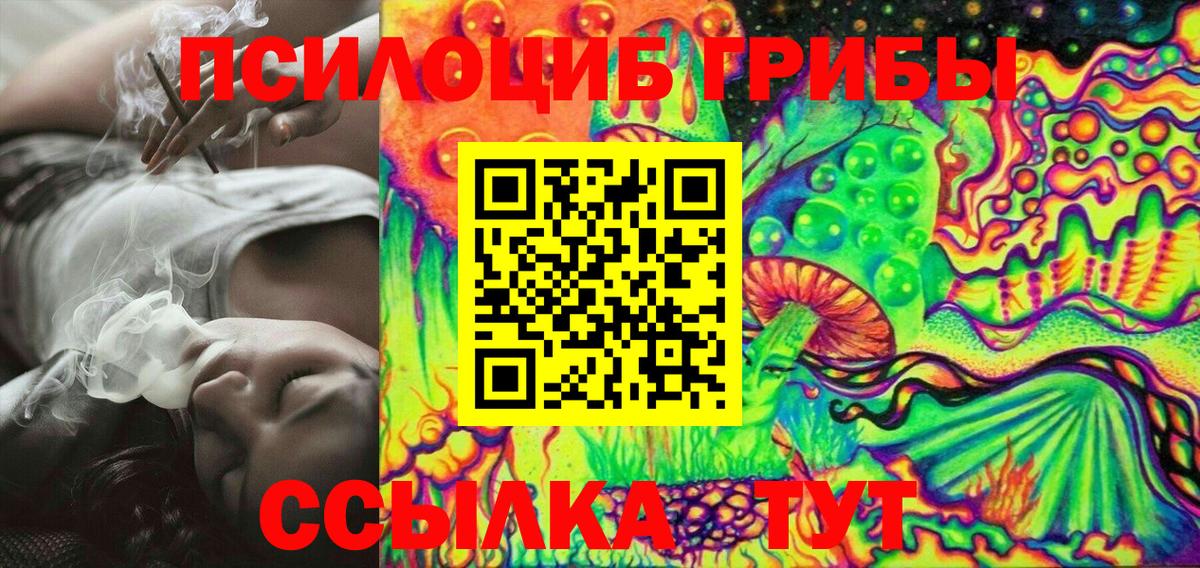 Красногорск  Псилоцибиновые грибы Psilocybine cubensis  Вход с VPN 